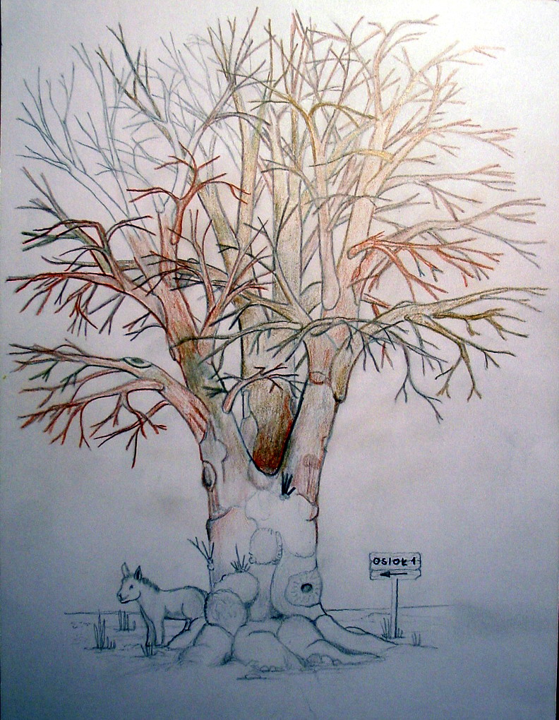 drzewo-osiol